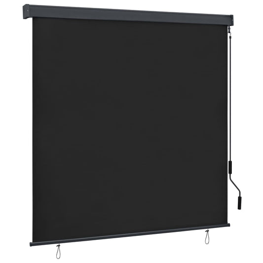 Berkfield Outdoor Roller Blind 160x250 cm Anthracite