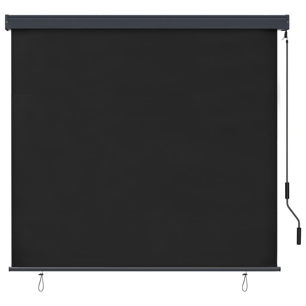 Berkfield Outdoor Roller Blind 160x250 cm Anthracite