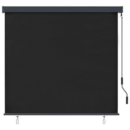 Berkfield Outdoor Roller Blind 160x250 cm Anthracite