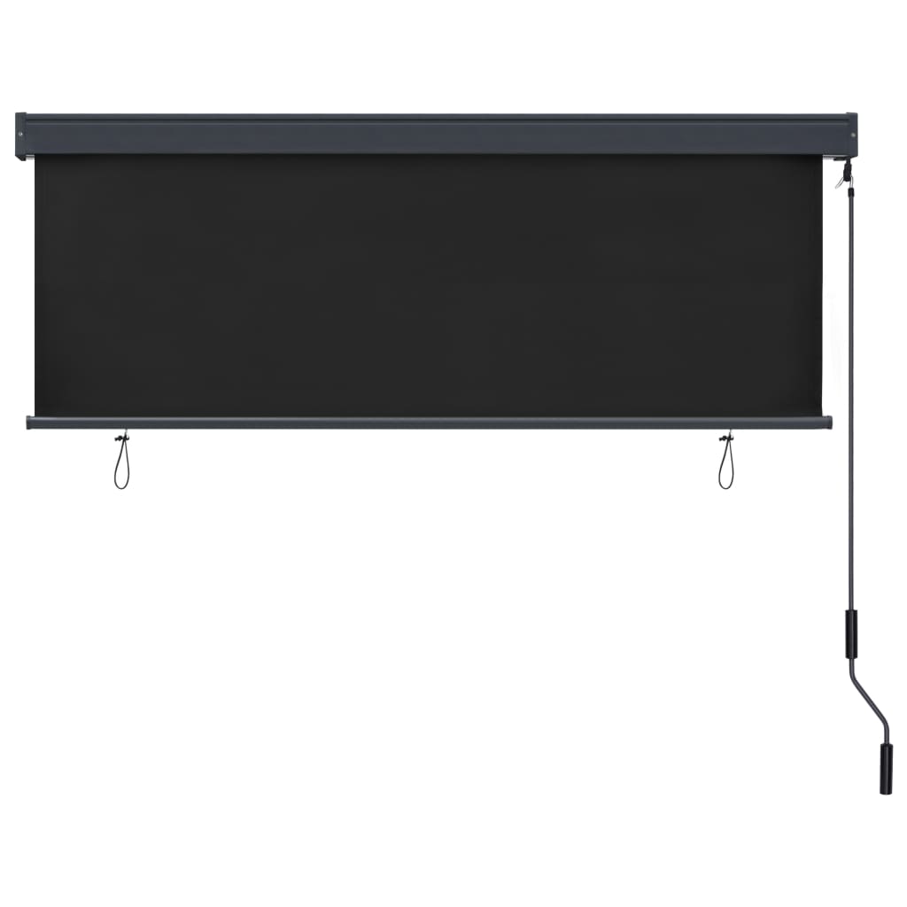 Berkfield Outdoor Roller Blind 160x250 cm Anthracite
