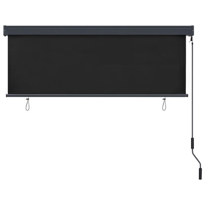 Berkfield Outdoor Roller Blind 160x250 cm Anthracite