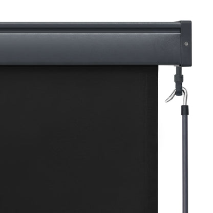 Berkfield Outdoor Roller Blind 160x250 cm Anthracite