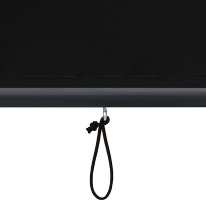 Berkfield Outdoor Roller Blind 160x250 cm Anthracite