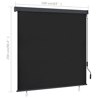 Berkfield Outdoor Roller Blind 160x250 cm Anthracite