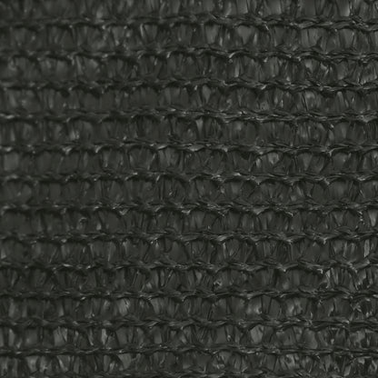 Berkfield Sunshade Sail 160 g/m�__ Anthracite 3x4x4 m HDPE