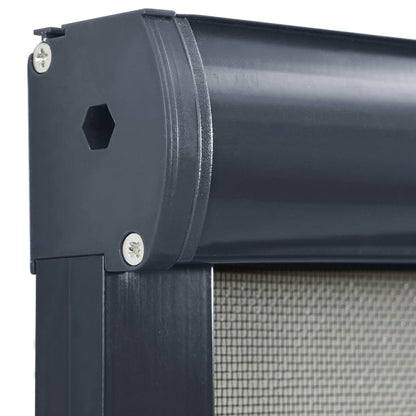 Berkfield Roll down Insect Screen for Windows Anthracite 150x170 cm