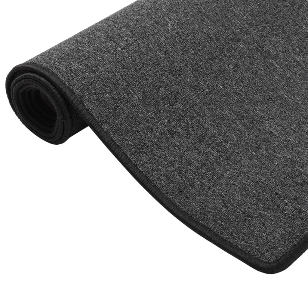 Berkfield Carpet Runner Anthracite 50x100 cm