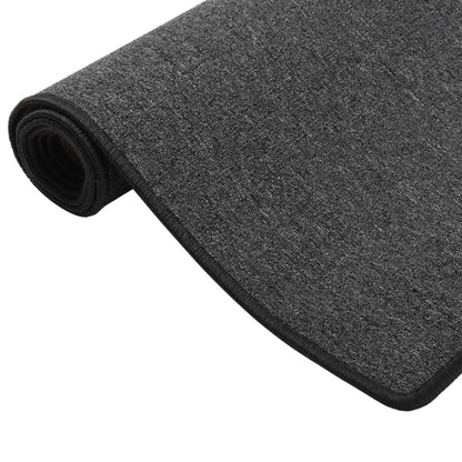 Berkfield Carpet Runner Anthracite 50x100 cm