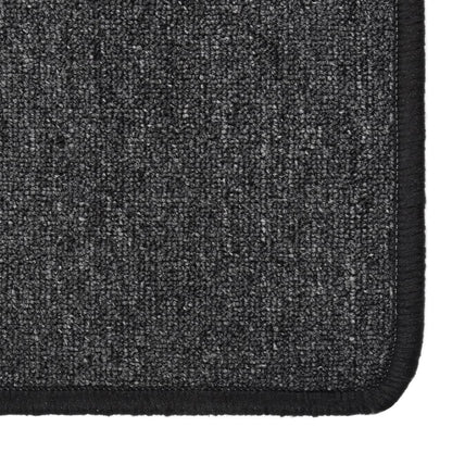Berkfield Carpet Runner Anthracite 50x100 cm