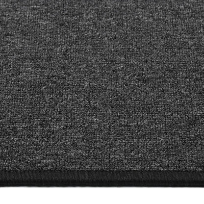 Berkfield Carpet Runner Anthracite 50x100 cm