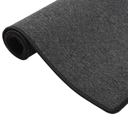 Berkfield Carpet Runner Anthracite 80x300 cm