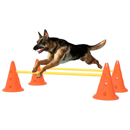 Berkfield Dog Activity Obstacle Set Orange and Yellow