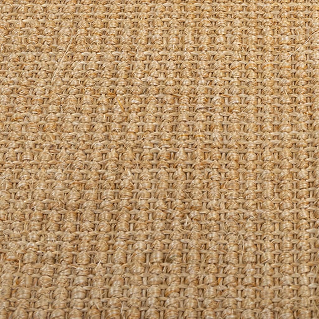Berkfield Rug Natural Sisal 66x150 cm