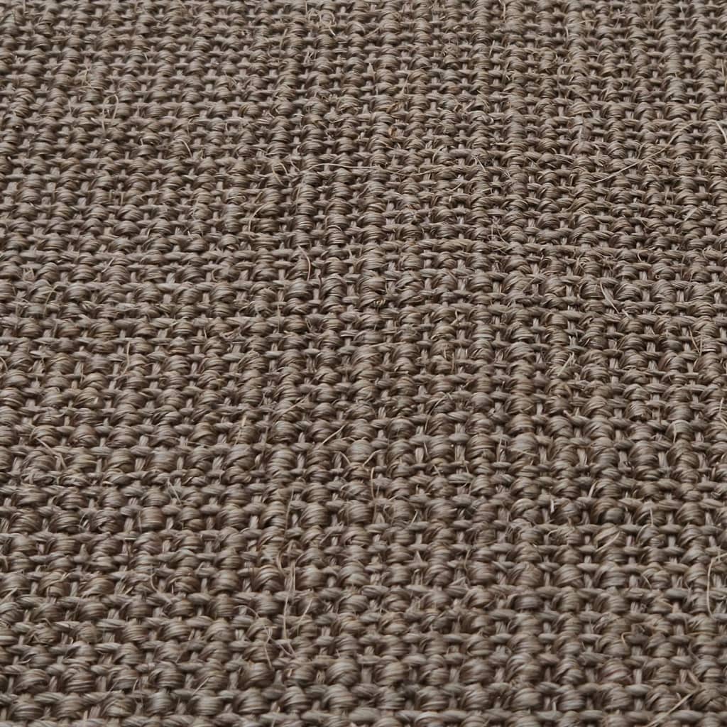 Berkfield Rug Natural Sisal 100x200 cm Brown