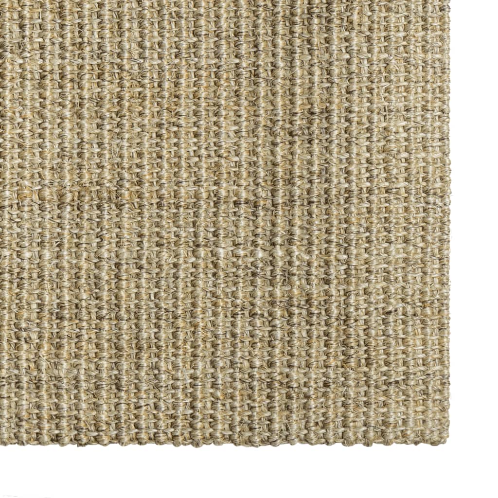 Berkfield Rug Natural Sisal 80x100 cm Taupe