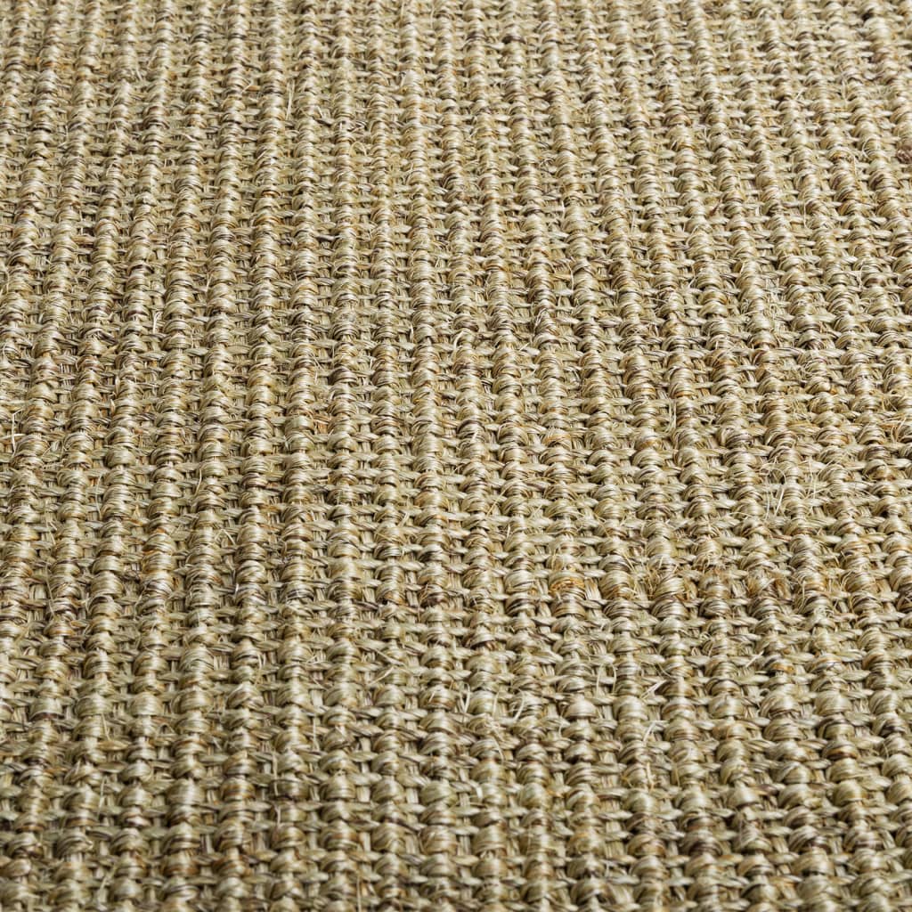 Berkfield Rug Natural Sisal 80x100 cm Taupe