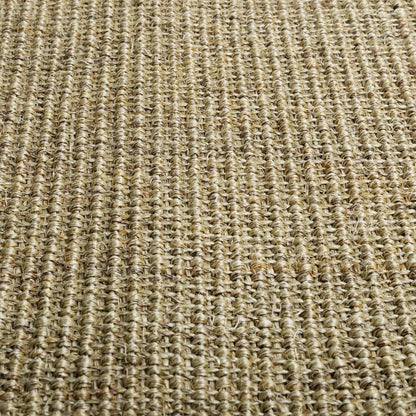 Berkfield Rug Natural Sisal 80x100 cm Taupe