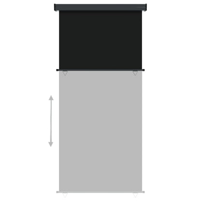 Berkfield Balcony Side Awning 122x250 cm Black