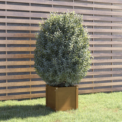 Berkfield Garden Planter Honey Brown 40x40x40 cm Solid Pinewood