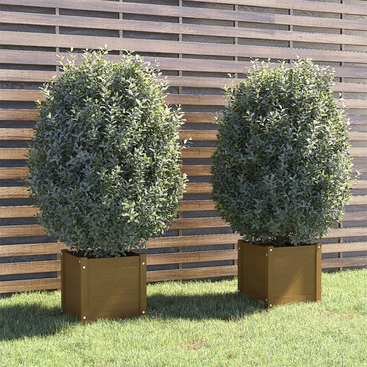 Berkfield Garden Planters 2 pcs Honey Brown 40x40x40 cm Solid Pinewood
