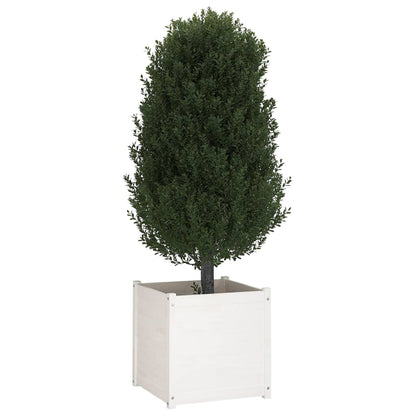 Berkfield Garden Planters 2 pcs White 60x60x60 cm Solid Pinewood