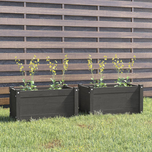 Berkfield Garden Planters 2 pcs Grey 60x31x31 cm Solid Pinewood