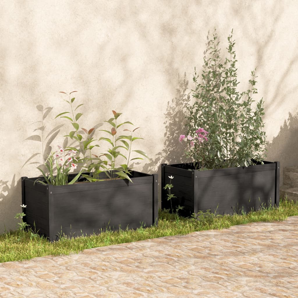 Berkfield Garden Planters 2 pcs Grey 100x50x50 cm Solid Pinewood