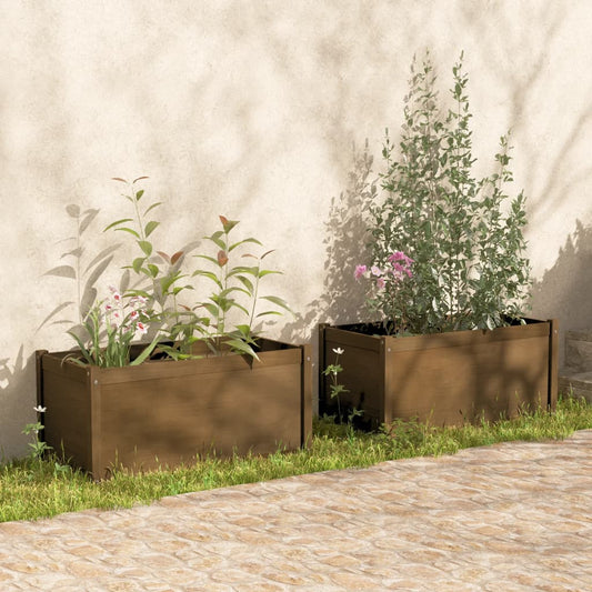 Berkfield Garden Planters 2 pcs Honey Brown 100x50x50cm Solid Pinewood