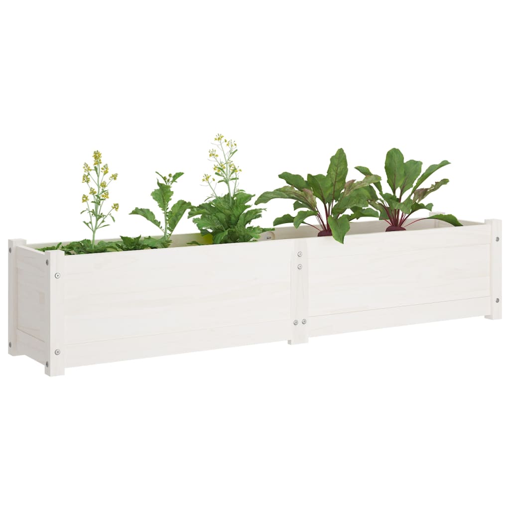 Berkfield Garden Raised Bed White 150x31x31 cm Solid Pinewood