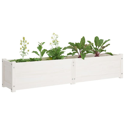 Berkfield Garden Raised Bed White 150x31x31 cm Solid Pinewood