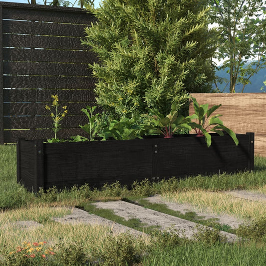 Berkfield Garden Raised Bed Black 150x31x31 cm Solid Pinewood