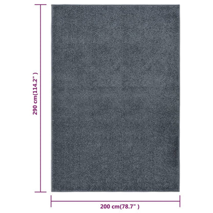 Berkfield Rug Short Pile 200x290 cm Anthracite