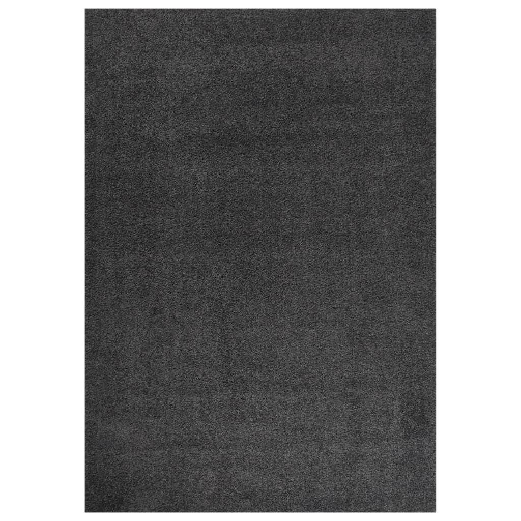 Berkfield Shaggy Rug High Pile Anthracite 140x200 cm