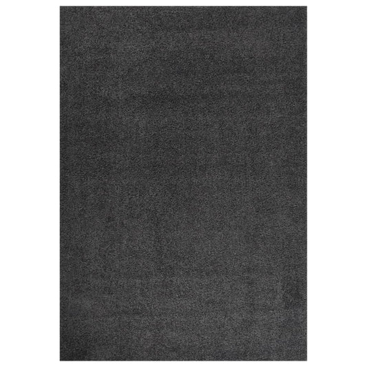 Berkfield Shaggy Rug High Pile Anthracite 140x200 cm