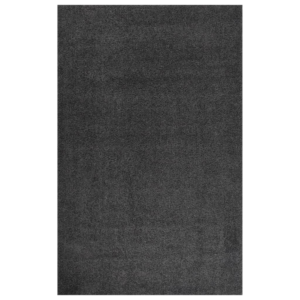 Berkfield Shaggy Rug High Pile Anthracite 200x290 cm