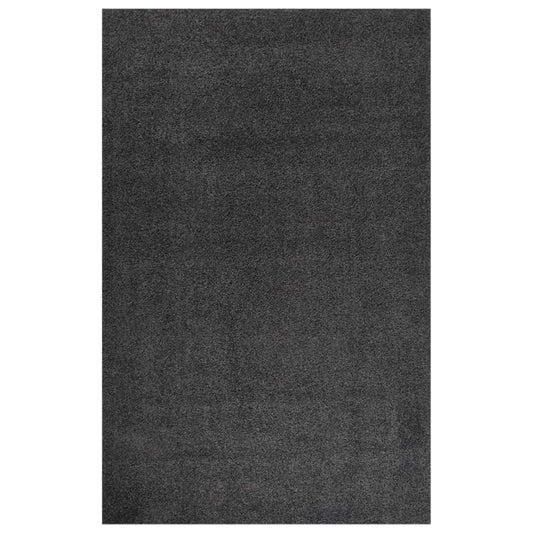 Berkfield Shaggy Rug High Pile Anthracite 200x290 cm