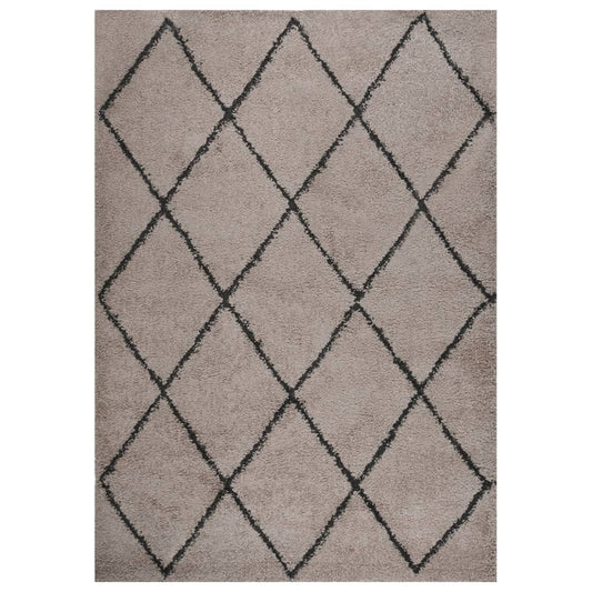 Berkfield Shaggy Rug High Pile Beige and Anthracite 120x170 cm