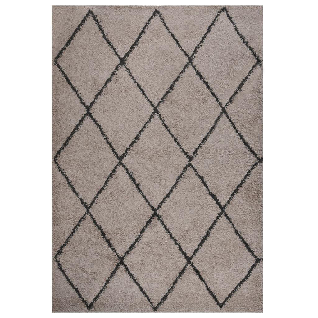 Berkfield Shaggy Rug High Pile Beige and Anthracite 160x230 cm