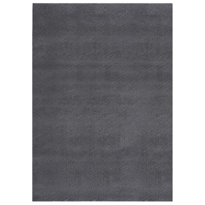 Berkfield Washable Rug Soft Shaggy 120x170 cm Anti Slip Anthracite