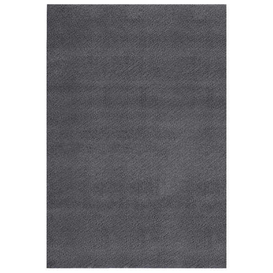 Berkfield Washable Rug Soft Shaggy 200x290 cm Anti Slip Anthracite