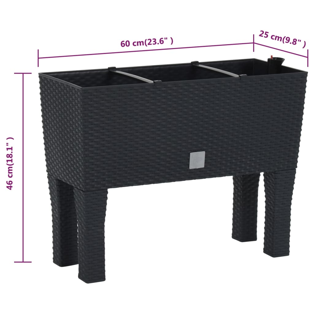 Berkfield Raised Garden Bed Anthracite 60x25x46 cm PP Rattan