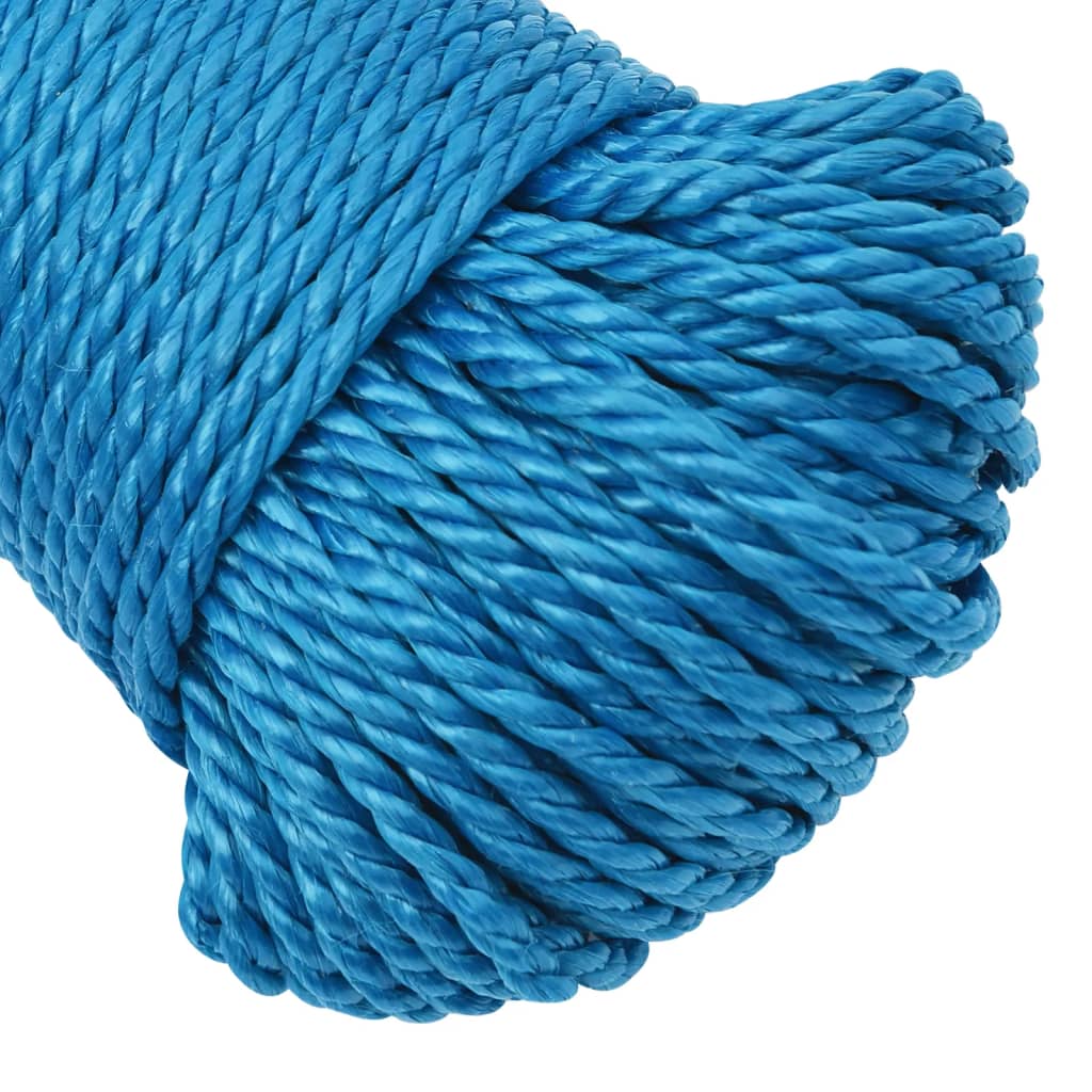 Berkfield Work Rope Blue 6 mm 100 m Polypropylene