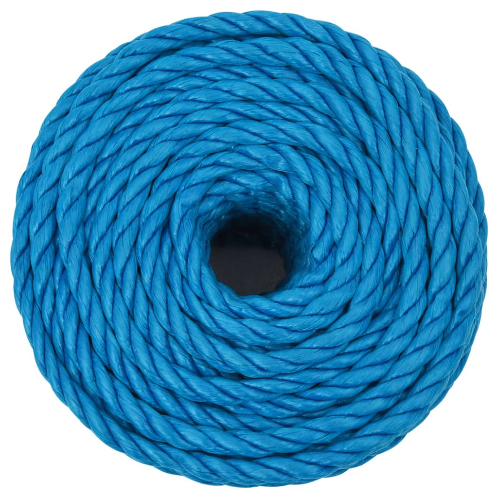 Berkfield Work Rope Blue 24 mm 25 m Polypropylene