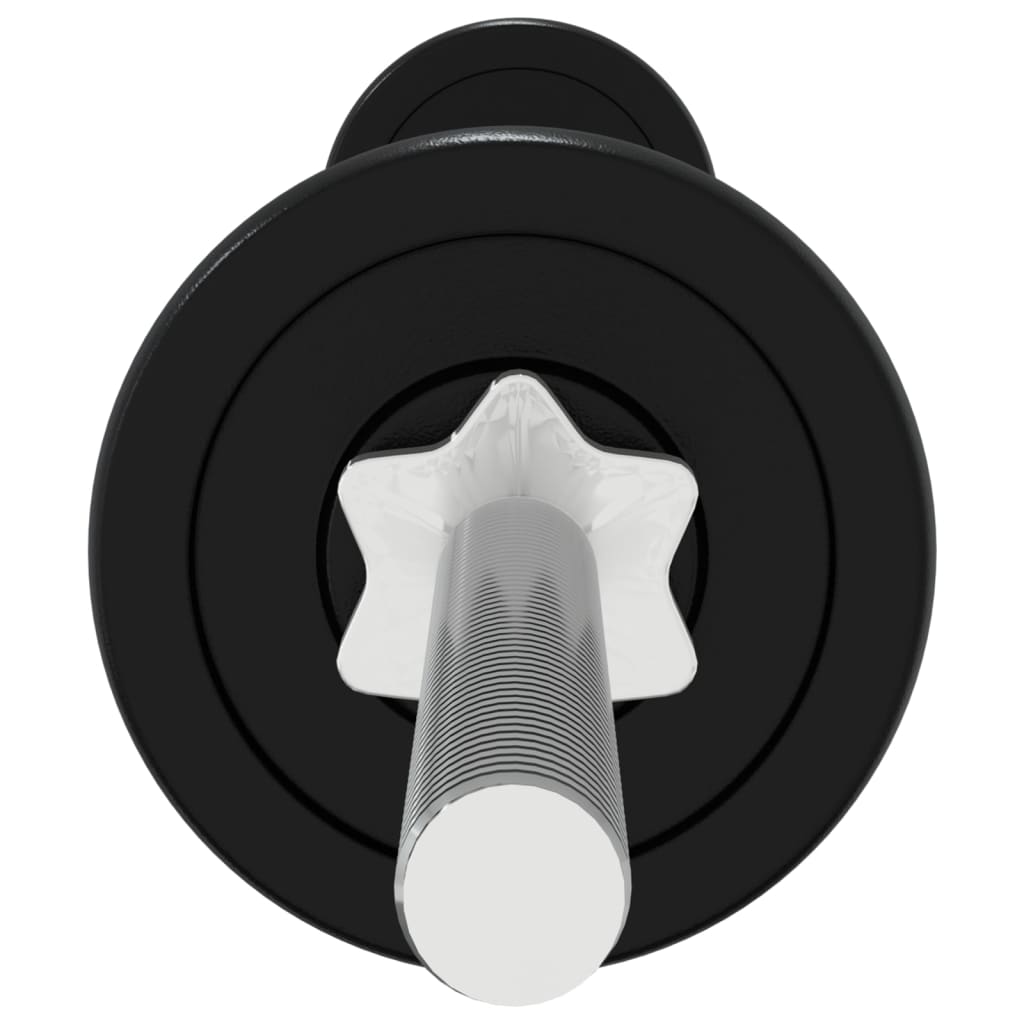 Berkfield Barbell and Dumbbell Set 30 kg Cast Iron