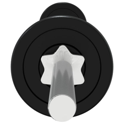 Berkfield Barbell and Dumbbell Set 30 kg Cast Iron