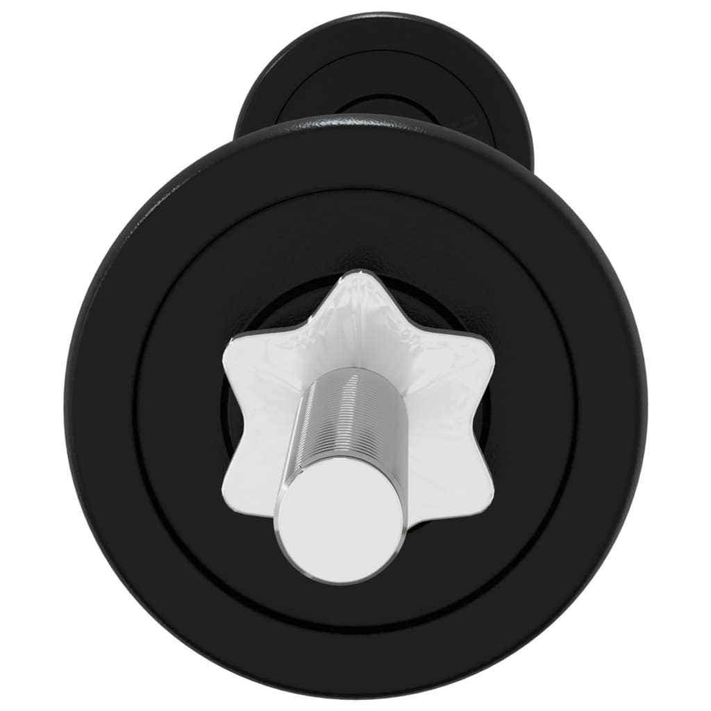 Berkfield Barbell and Dumbbell Set 30 kg Cast Iron