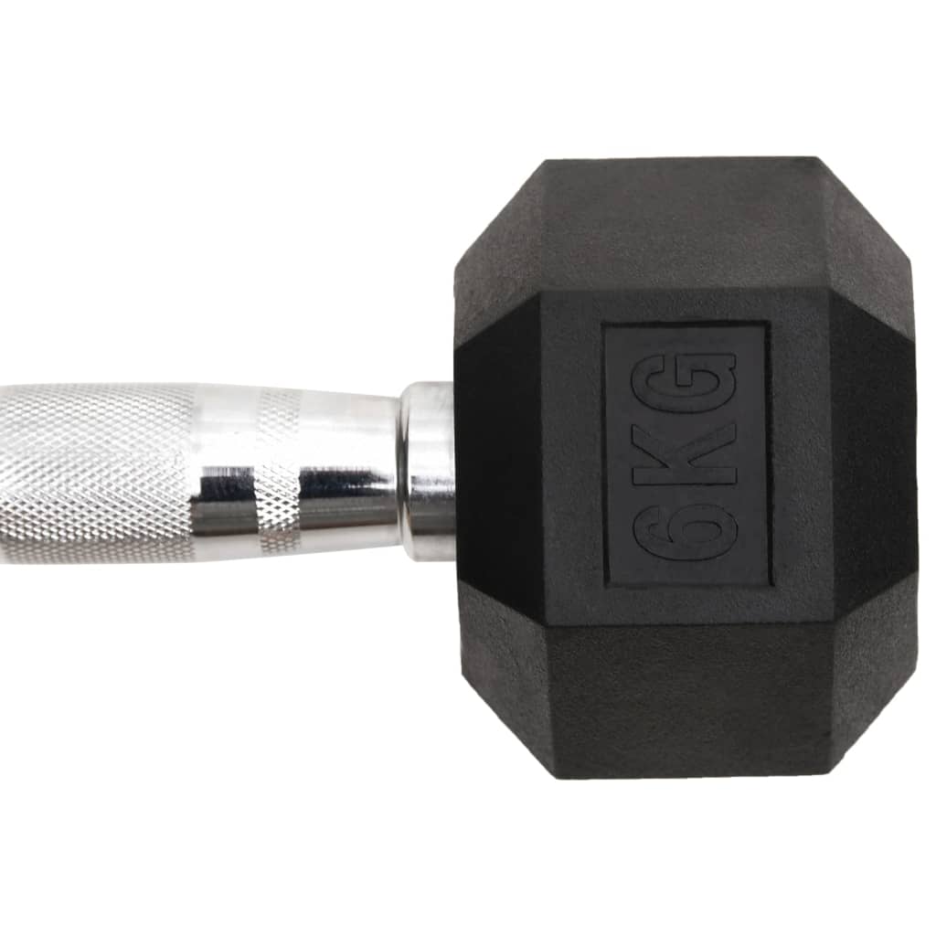 Berkfield Dumbbells 2 pcs 12 kg Cast Iron