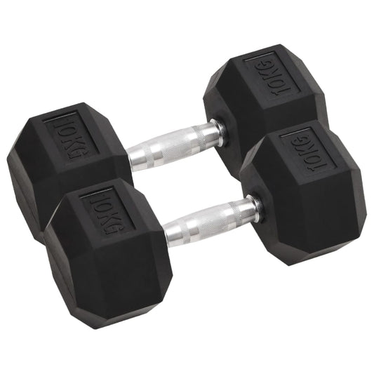 Berkfield Dumbbells 2 pcs 20 kg Cast Iron