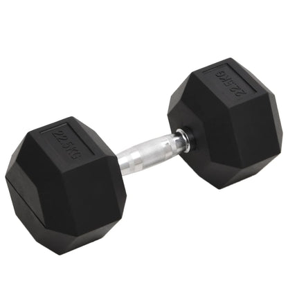 Berkfield Dumbbell 22.5 kg Cast Iron