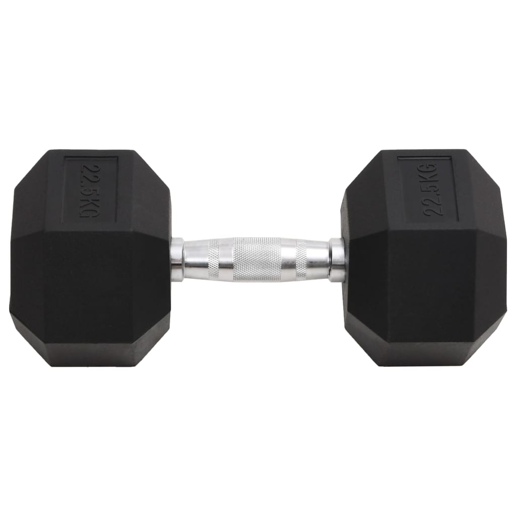 Berkfield Dumbbell 22.5 kg Cast Iron